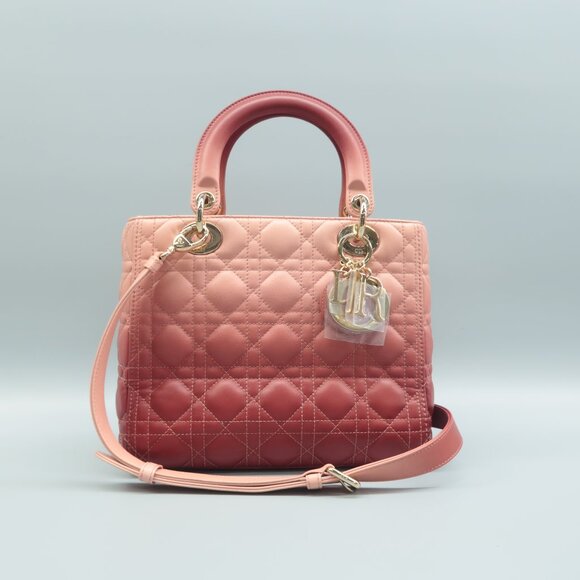 Dior Lady Dior Pink&Red Leather Satchel - Picture 1 of 12
